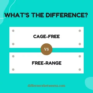 Difference Between Cage-Free and Free-Range