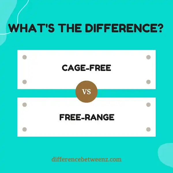 Difference Between Cage-Free and Free-Range