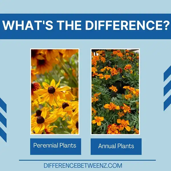 Difference between Annual and Perennial Plants