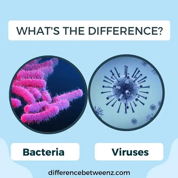 Difference between Bacteria and Viruses | Bacteria vs Viruses
