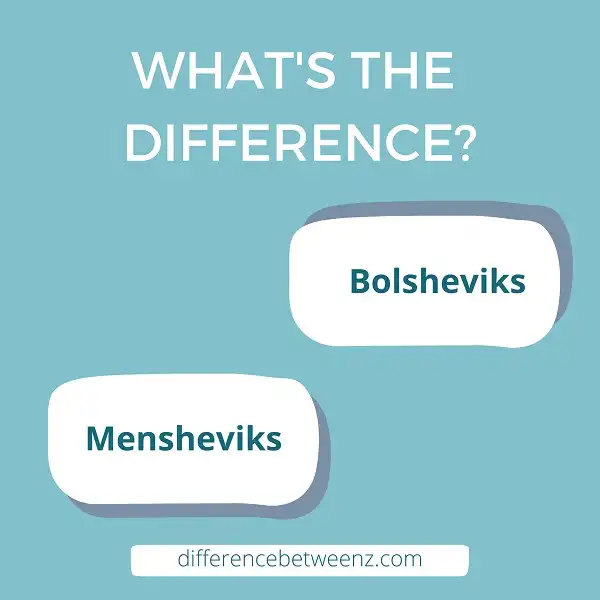 Difference between Bolsheviks and Mensheviks