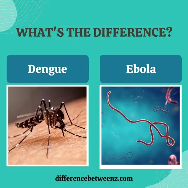 Difference between Dengue and Ebola | Dengue vs Ebola