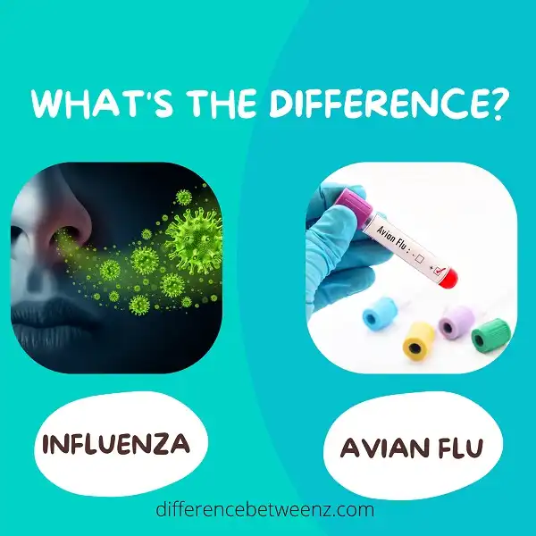 Difference between Influenza and Avian Flu | Influenza vs Avian Flu