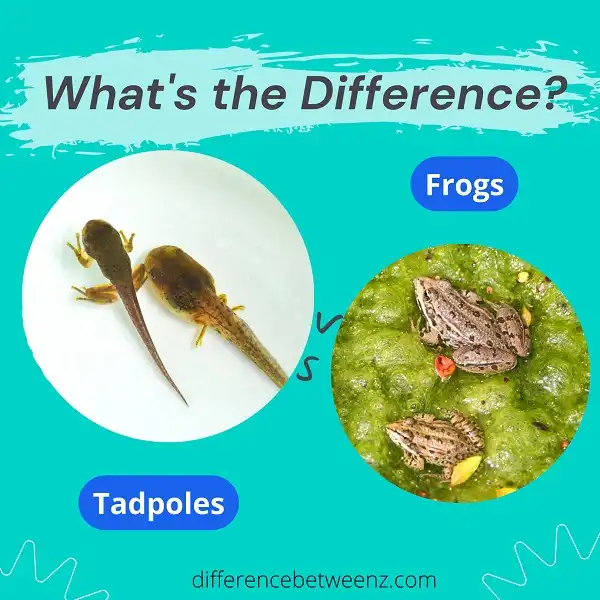 Difference between Tadpoles and Frogs