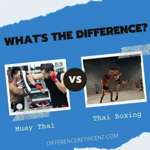 Muay Thai and Thai Boxing Comparison