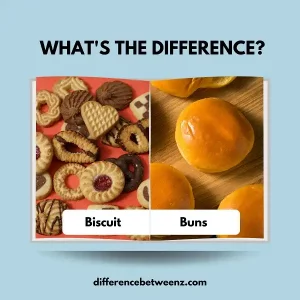 Difference between Biscuit and Buns | Biscuit vs. Buns