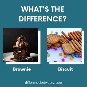 Difference between Brownie and Biscuit | Brownie vs. Biscuit