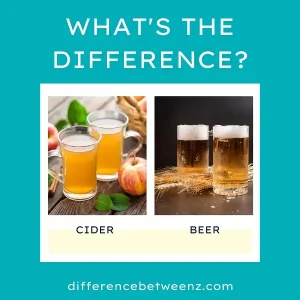 Difference between Cider and Beer | Cider vs. Beer