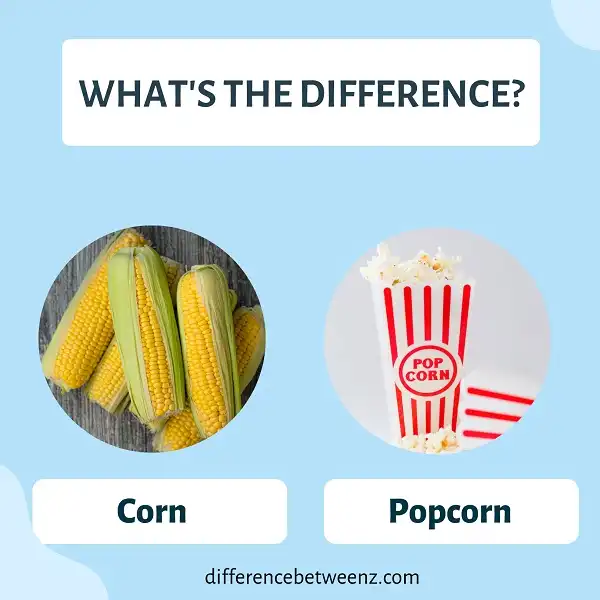 Difference between Corn and Popcorn | Corn vs. Popcorn