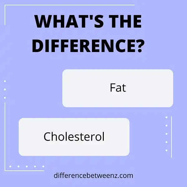 Difference between Fat and Cholesterol | Fat vs. Cholesterol