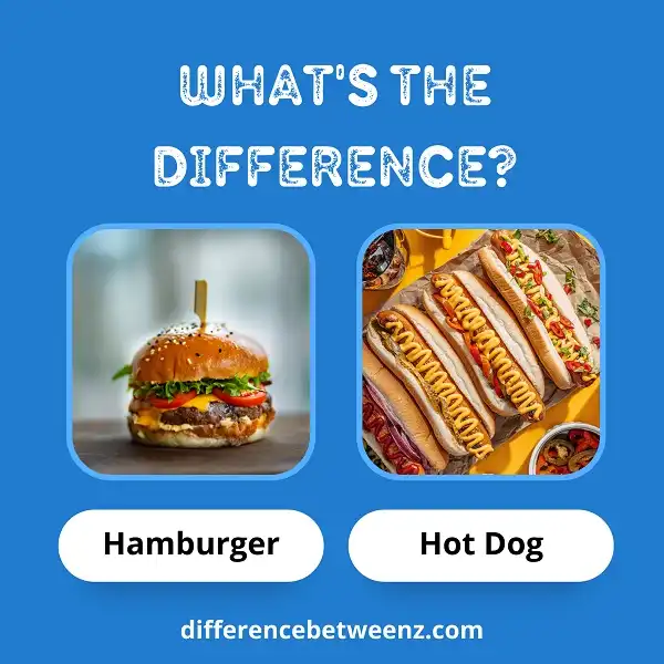 Difference between Hamburger and Hot Dog