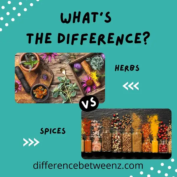 Difference between Herbs and Spices | Herbs vs Spices