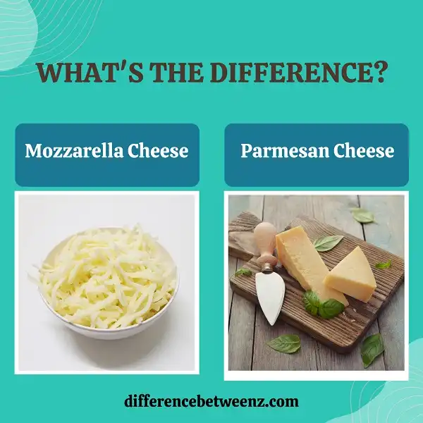 Difference between Mozzarella Cheese and Parmesan Cheese