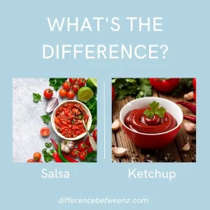 Difference between Salsa and Ketchup