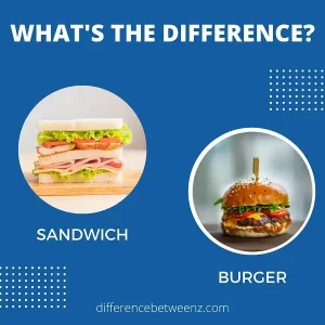Difference between Sandwich and Burger