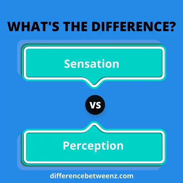 Difference between Sensation and Perception | Sensation vs. Perception