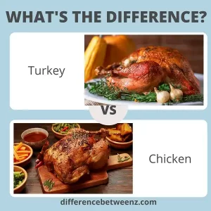 Difference between Turkey and Chicken | Turkey vs. Chicken