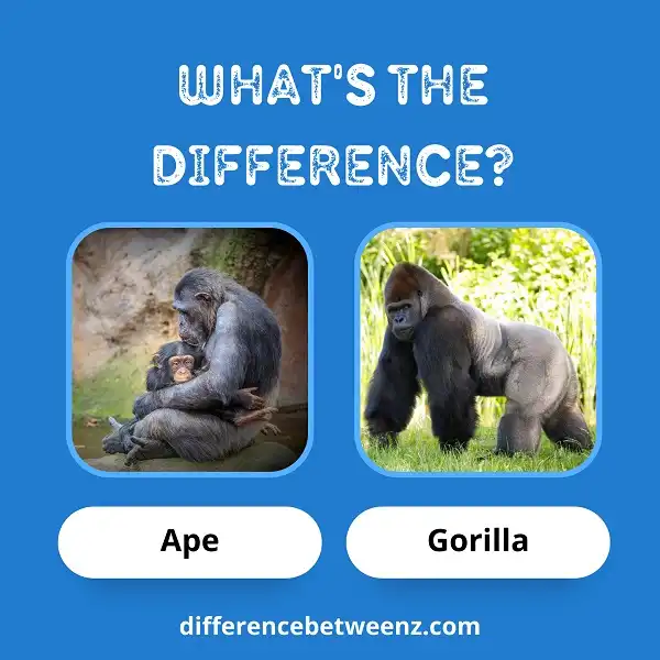 Difference between Ape and Gorilla
