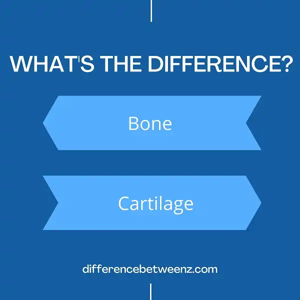 Difference between Bone and Cartilage
