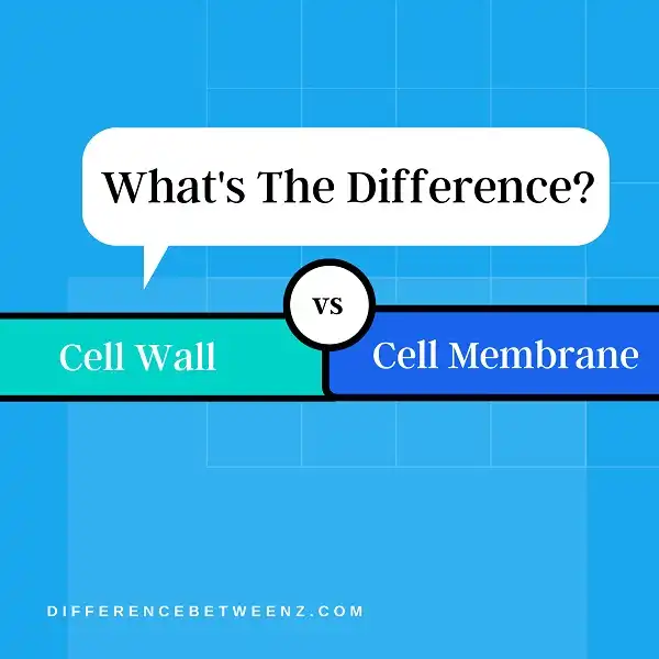Difference between Cell Wall and Cell Membrane