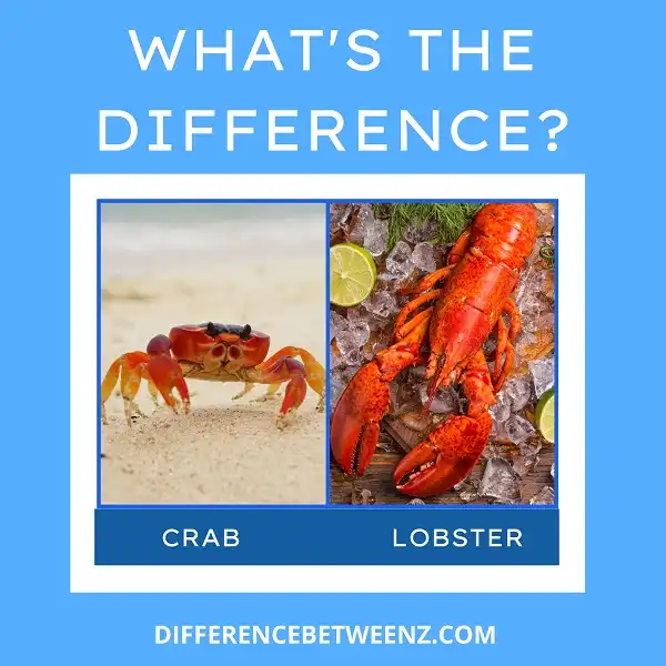Difference between Crab and Lobster