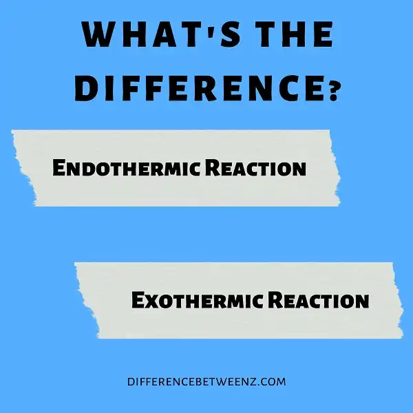 Difference between Endothermic and Exothermic Reaction