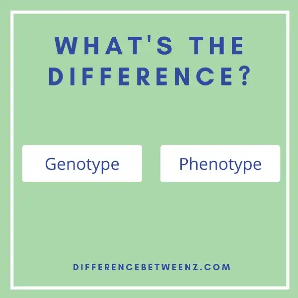 Difference between Genotype and Phenotype