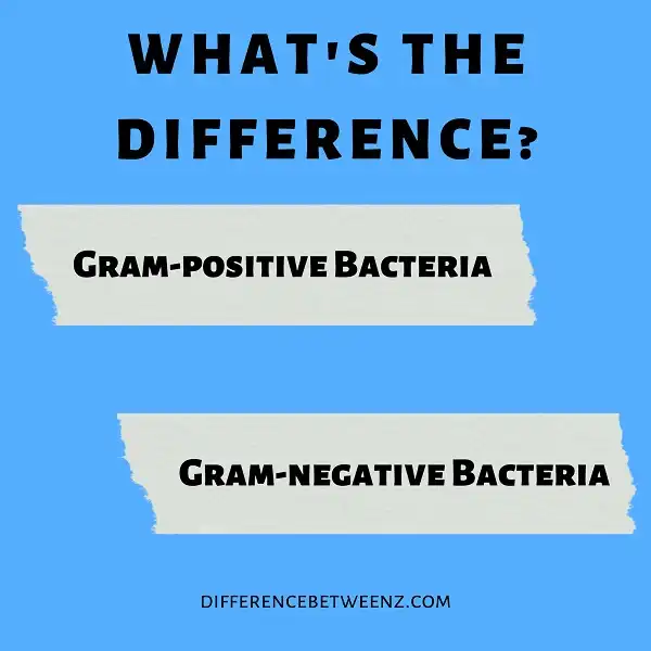 Difference between Gram-positive and Gram-negative Bacteria