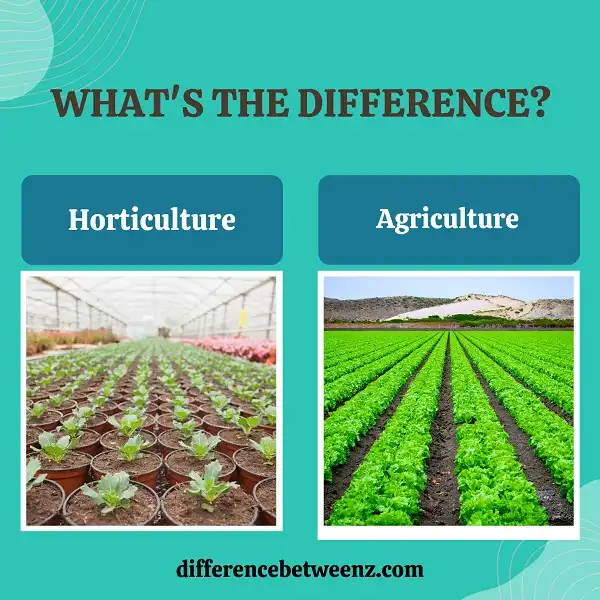 Difference between Horticulture and Agriculture