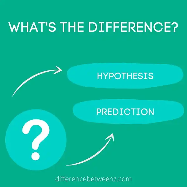 Difference between Hypothesis and Prediction