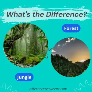 Difference between Jungle and Forest