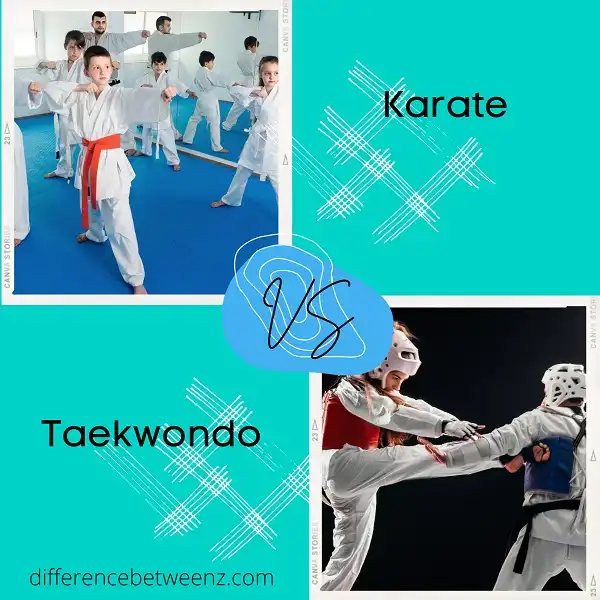 Difference between Karate and Taekwondo
