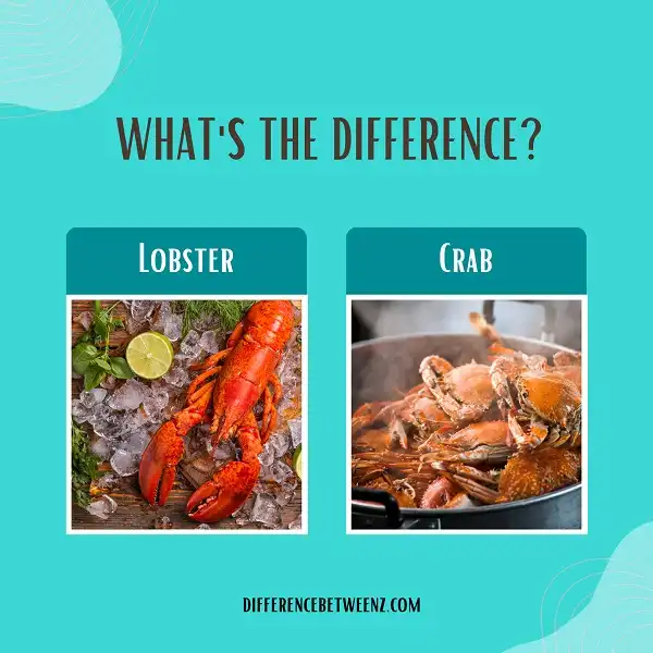 Difference between Lobster and Crab