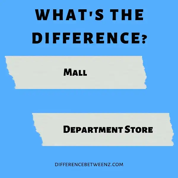 Difference between Mall and Department Store