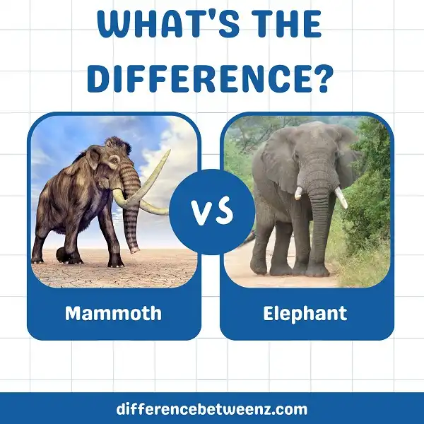 Difference between Mammoth and Elephant