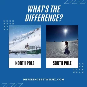 Difference between North and South Pole