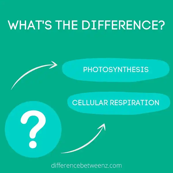 Difference between Photosynthesis and Cellular Respiration