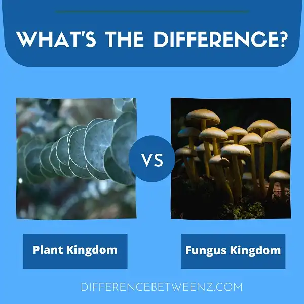 Difference between Plant Kingdom and Fungus Kingdom