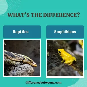 Difference between Reptiles and Amphibians