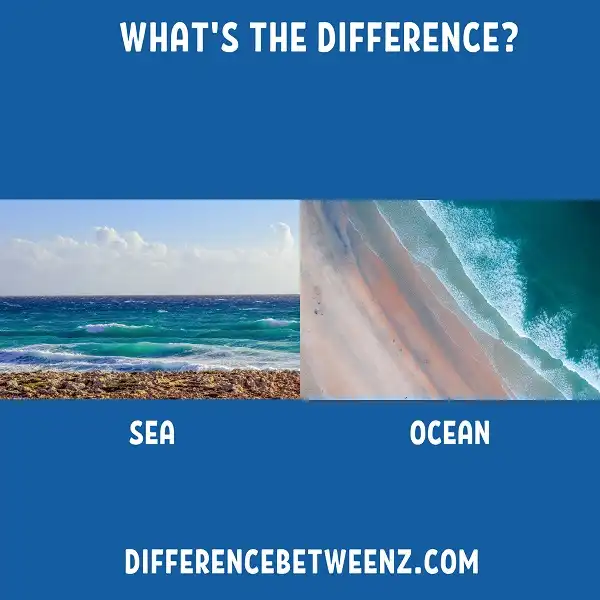 Difference between Sea and Ocean