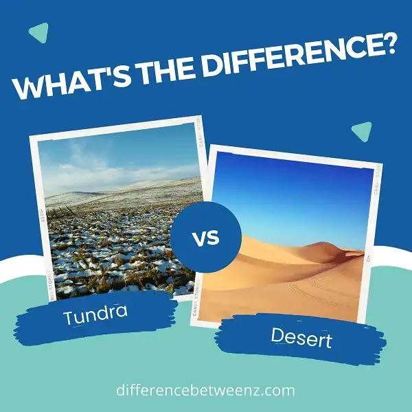 Difference between Tundra and Desert