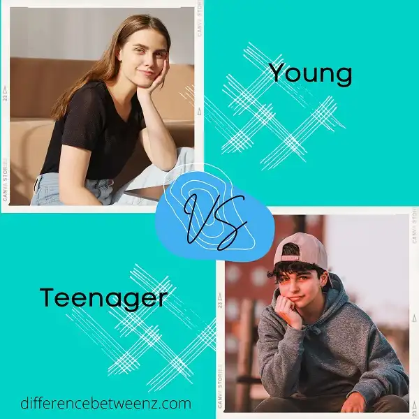 Difference between Young and Teenager