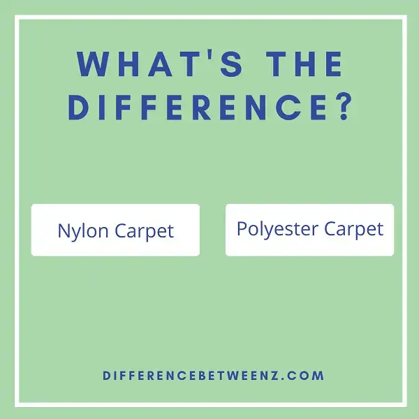 Difference Between Nylon and Polyester Carpet