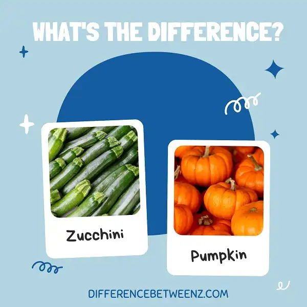 Difference Between Zucchini and Pumpkin