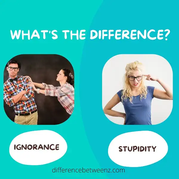 Difference between Ignorance and Stupidity