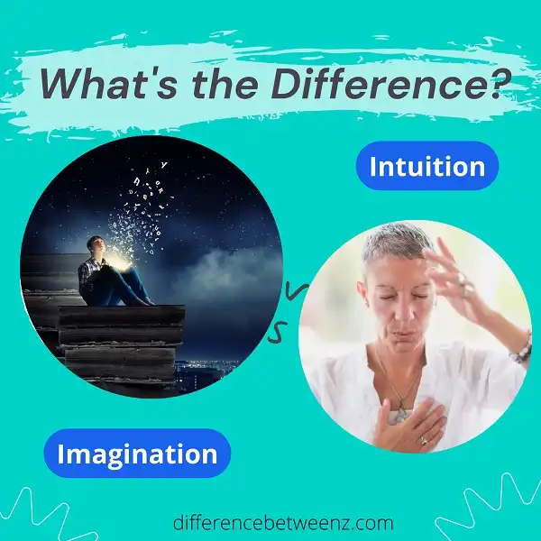 Difference between Imagination and Intuition