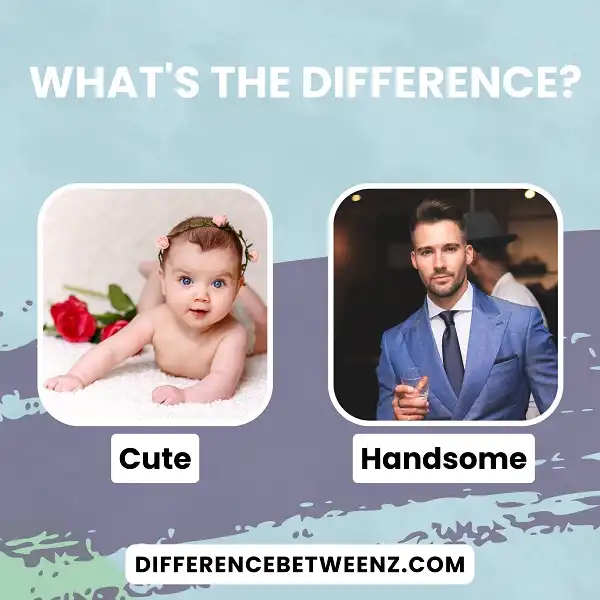 Difference between Cute and Handsome