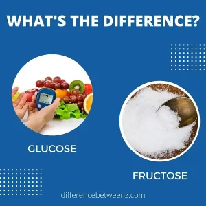 Difference between Glucose and Fructose