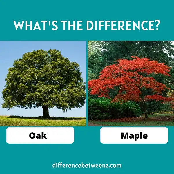 Difference between Oak and Maple