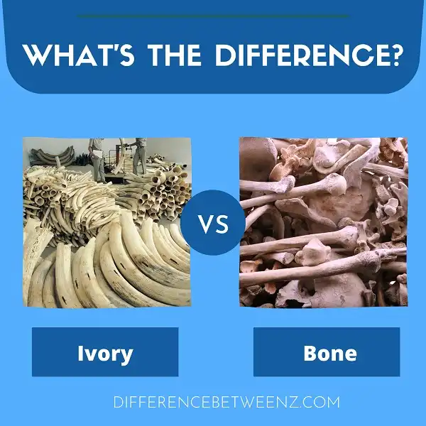Difference between Ivory and Bone